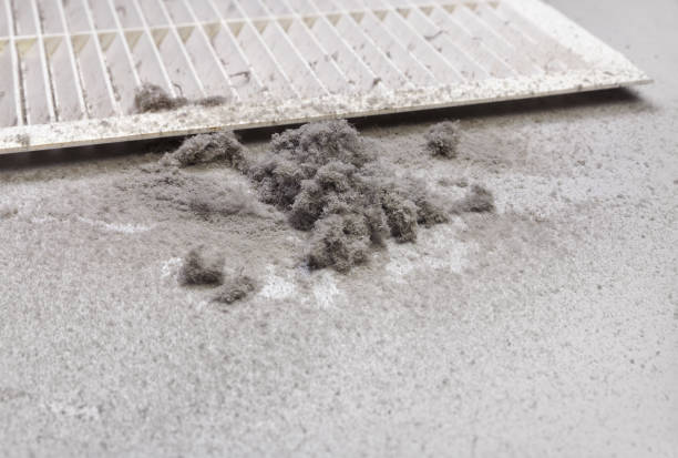 Air Duct Mold Removal in Calabash, NC